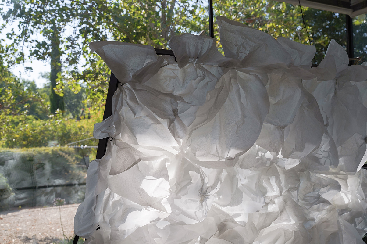 אור_חדדי_נוי_קהלני_1 – Or Hadadi