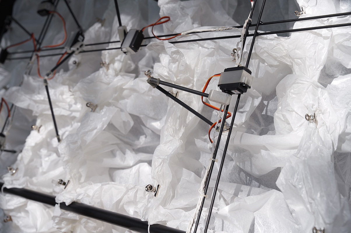 אור_חדדי_נוי_קהלני_3 – Or Hadadi