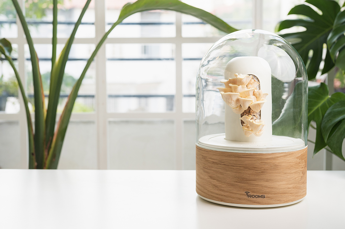 דיה_בהט_רוזנפלד_1 – דיה רוזנפלד