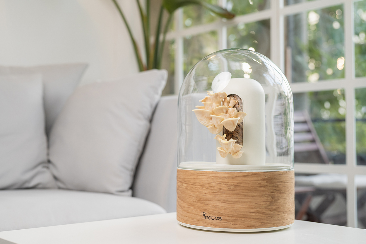 דיה_בהט_רוזנפלד_2 – דיה רוזנפלד