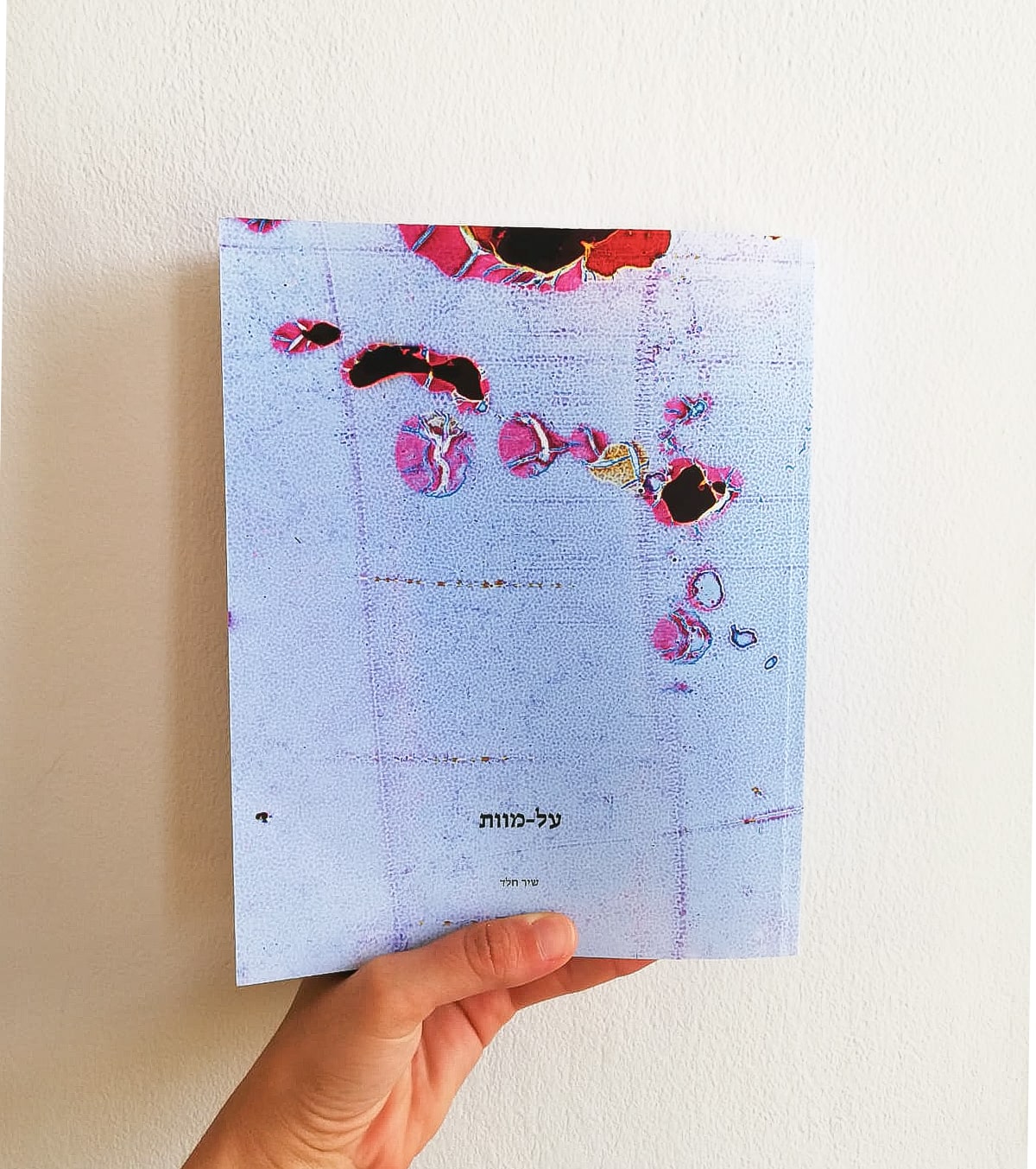 חלד_שיר_01 – shir heled