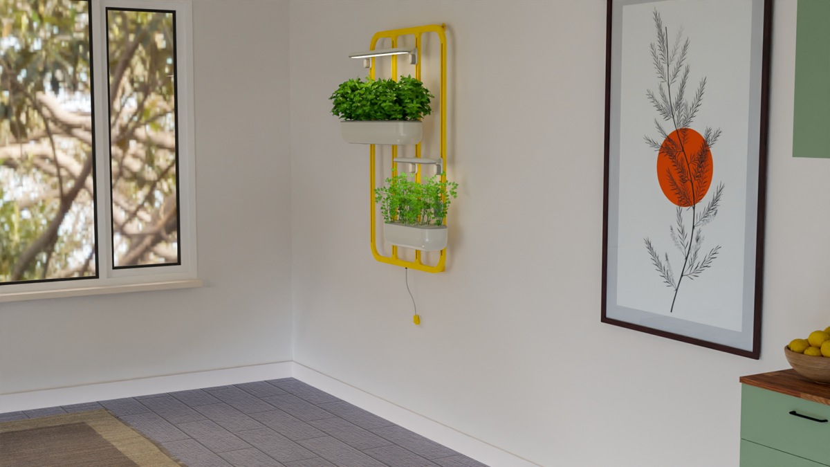 יובל בר-שלום (2) – Yuval Bar Shalom