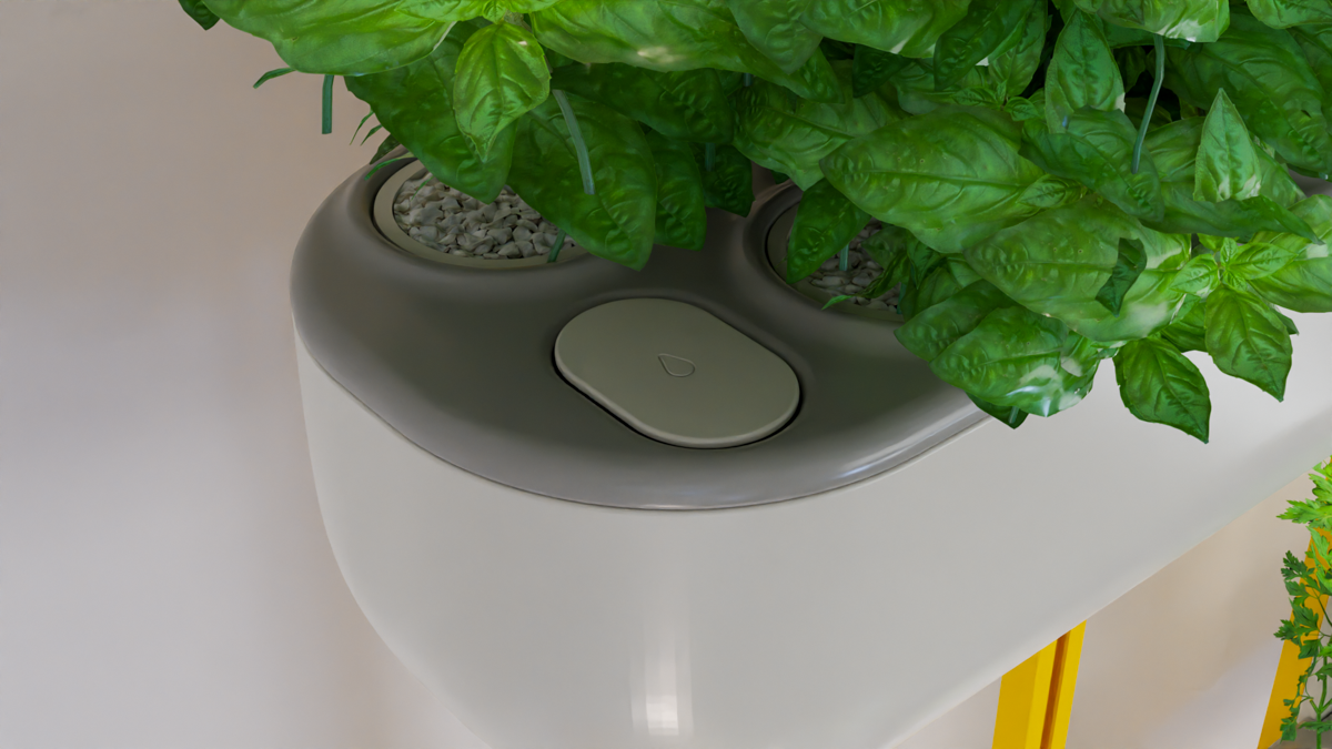 יובל בר-שלום (3) – Yuval Bar Shalom