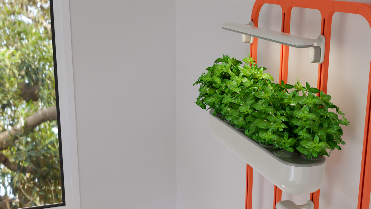 יובל בר-שלום (4) – Yuval Bar Shalom