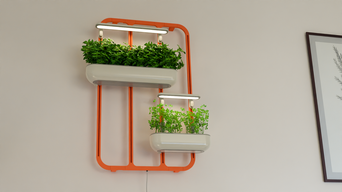 יובל בר-שלום (5) – Yuval Bar Shalom