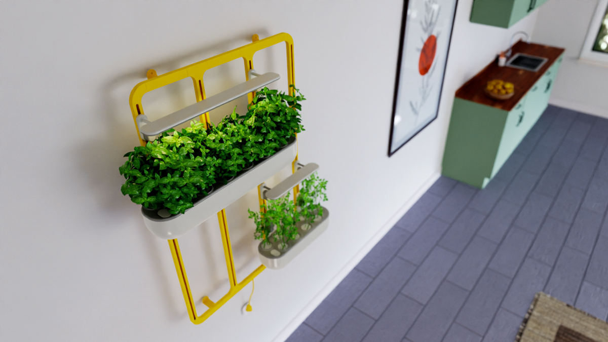 יובל בר-שלום (6) – Yuval Bar Shalom