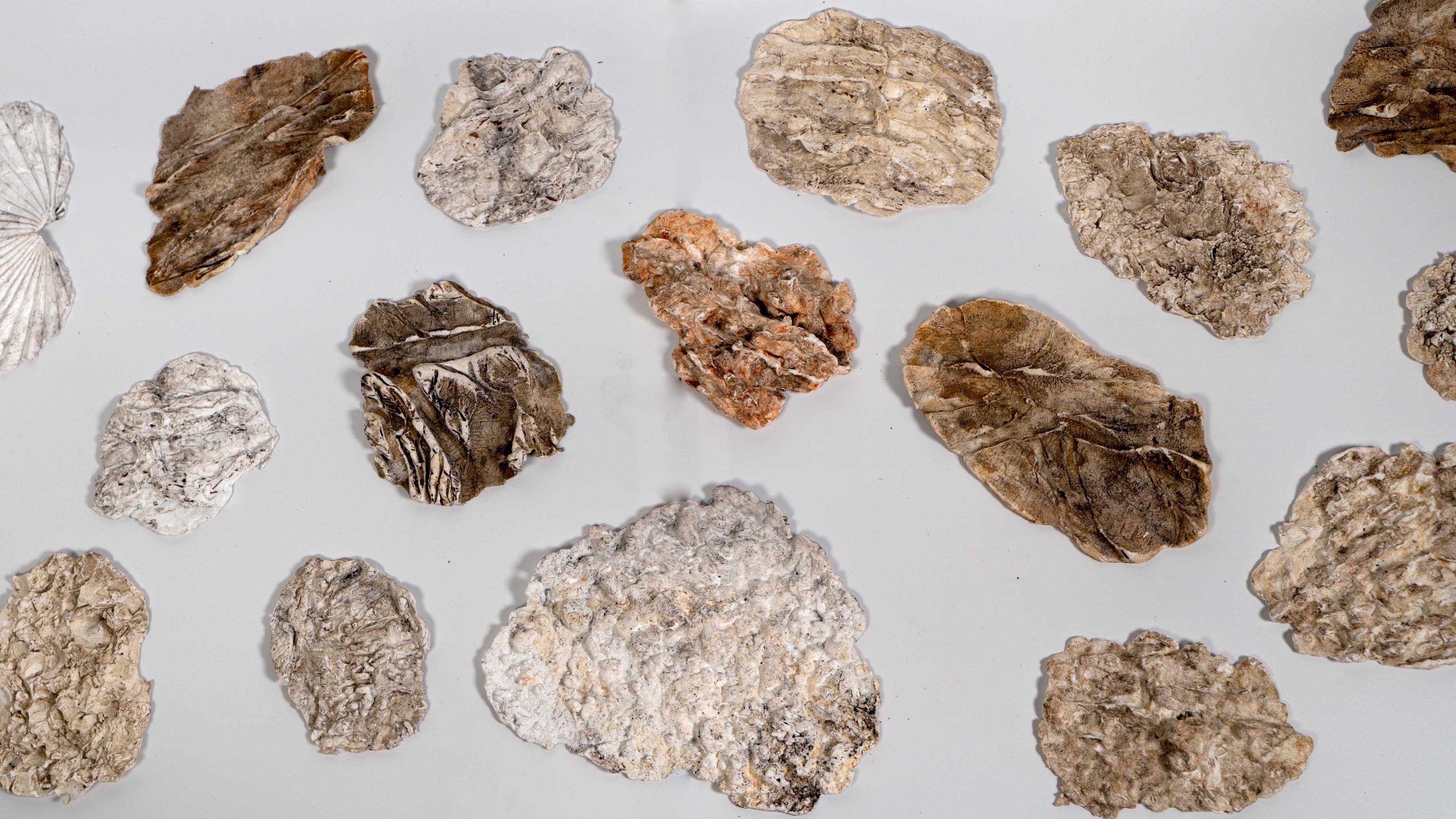 מור_גפן_10 – Mor Geffen