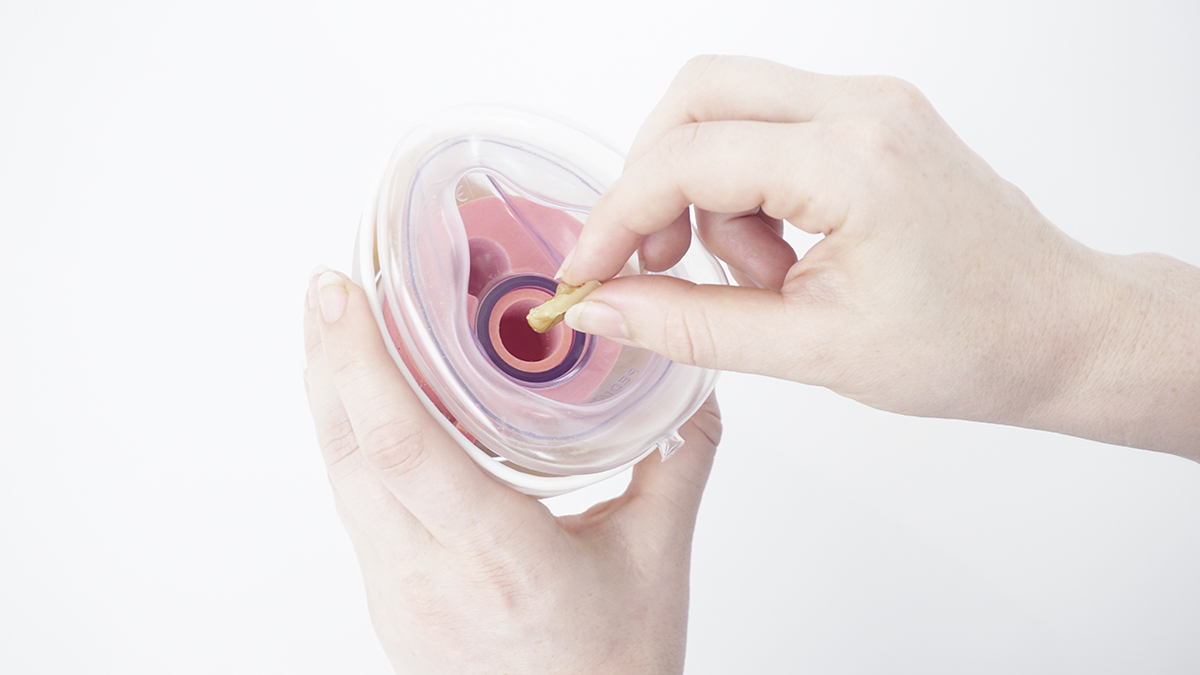 נעם_גורדון_06 – Noam Gordon