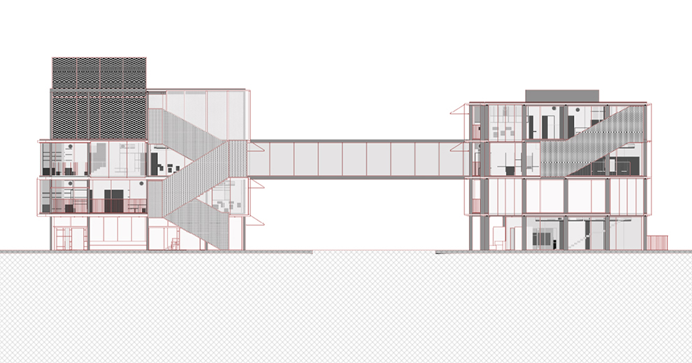 קורל שפירא 02