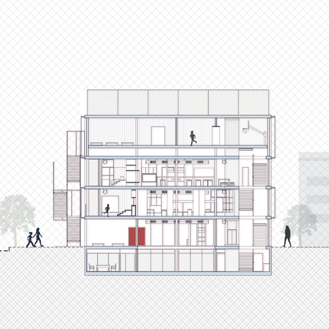 קורל שפירא 05