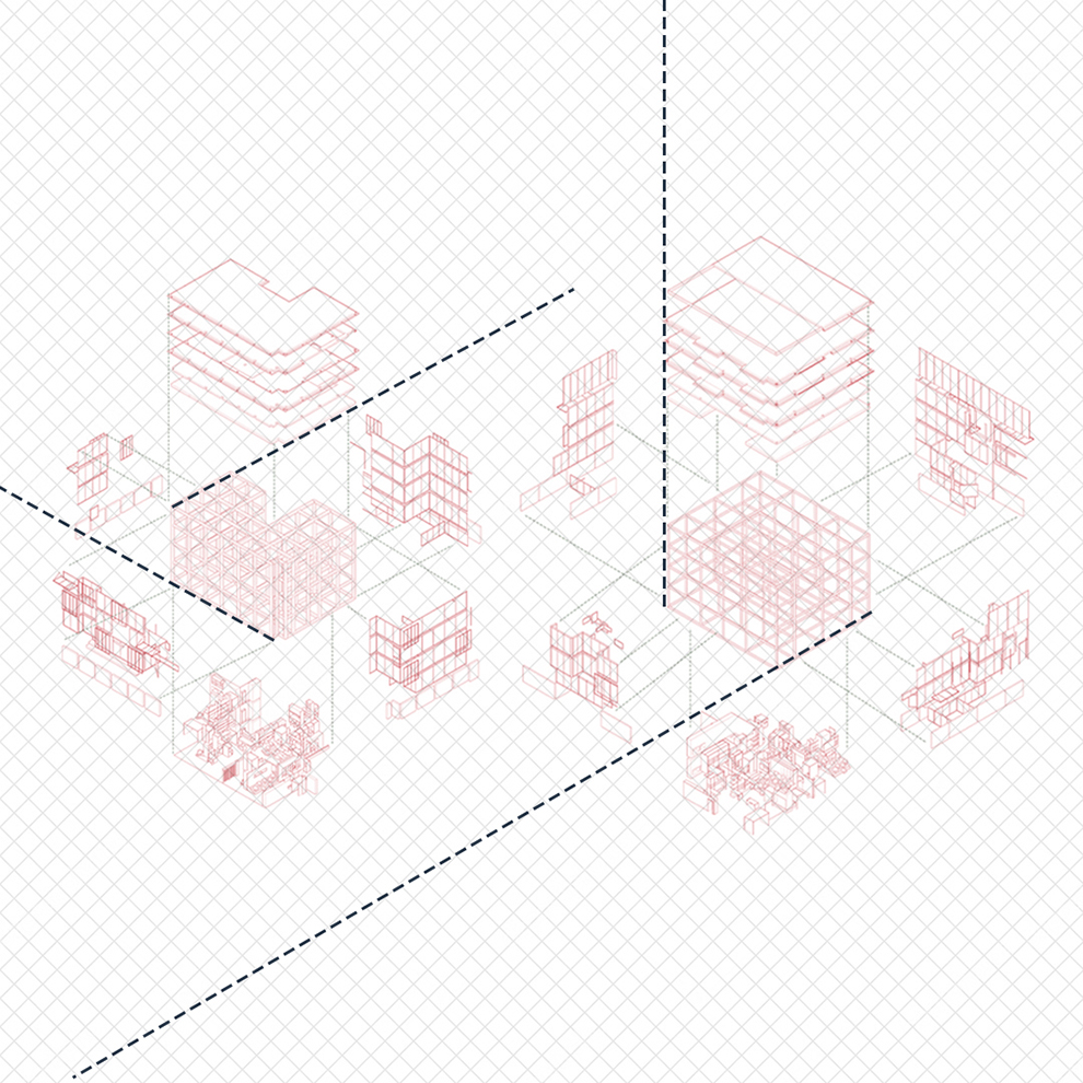 קורל שפירא 06