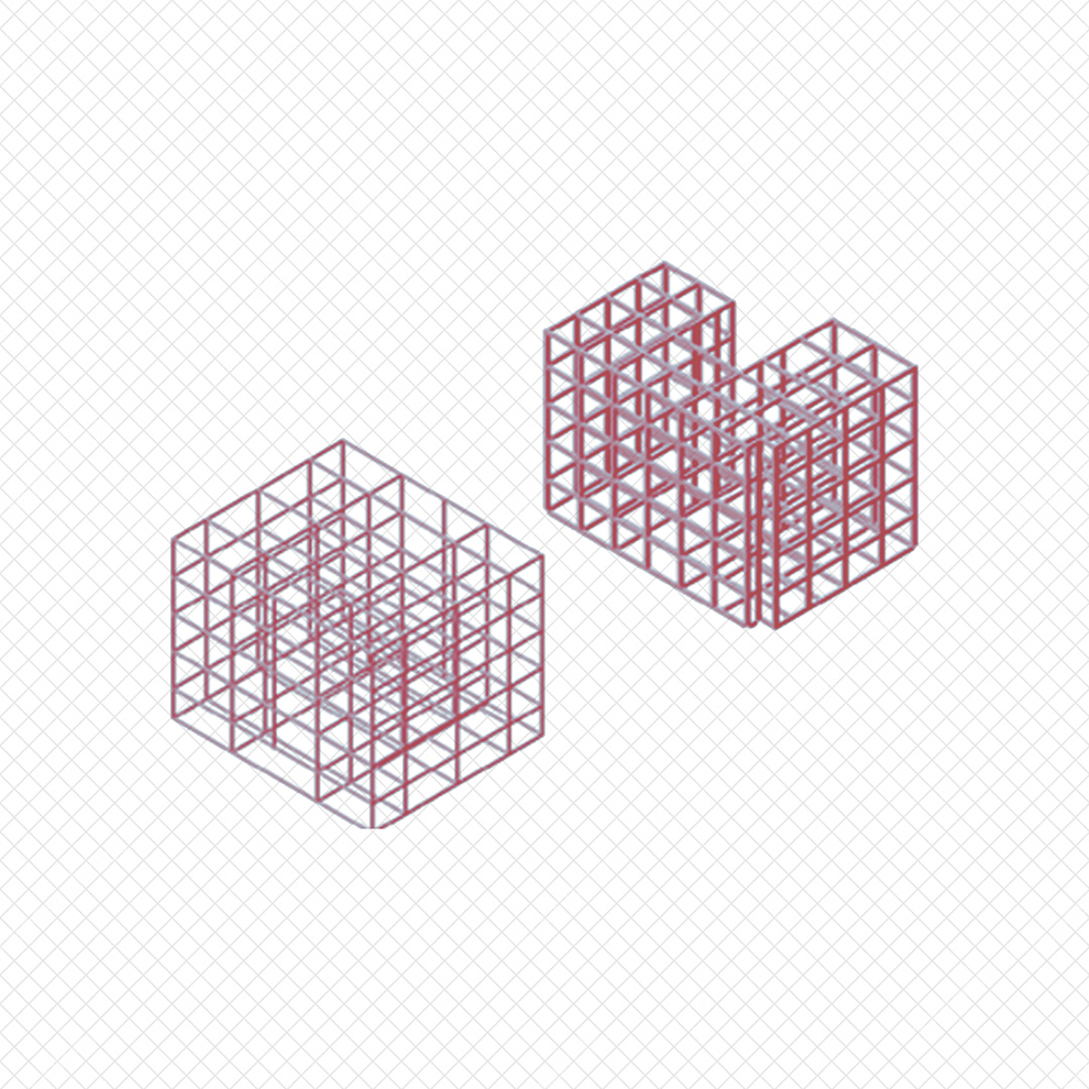 קורל שפירא 10