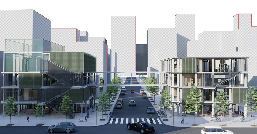 קורל שפירא01