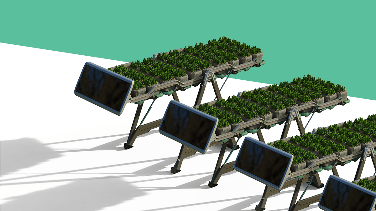 תום וירט_אפי זייצב_3 – Efi Zaitsev