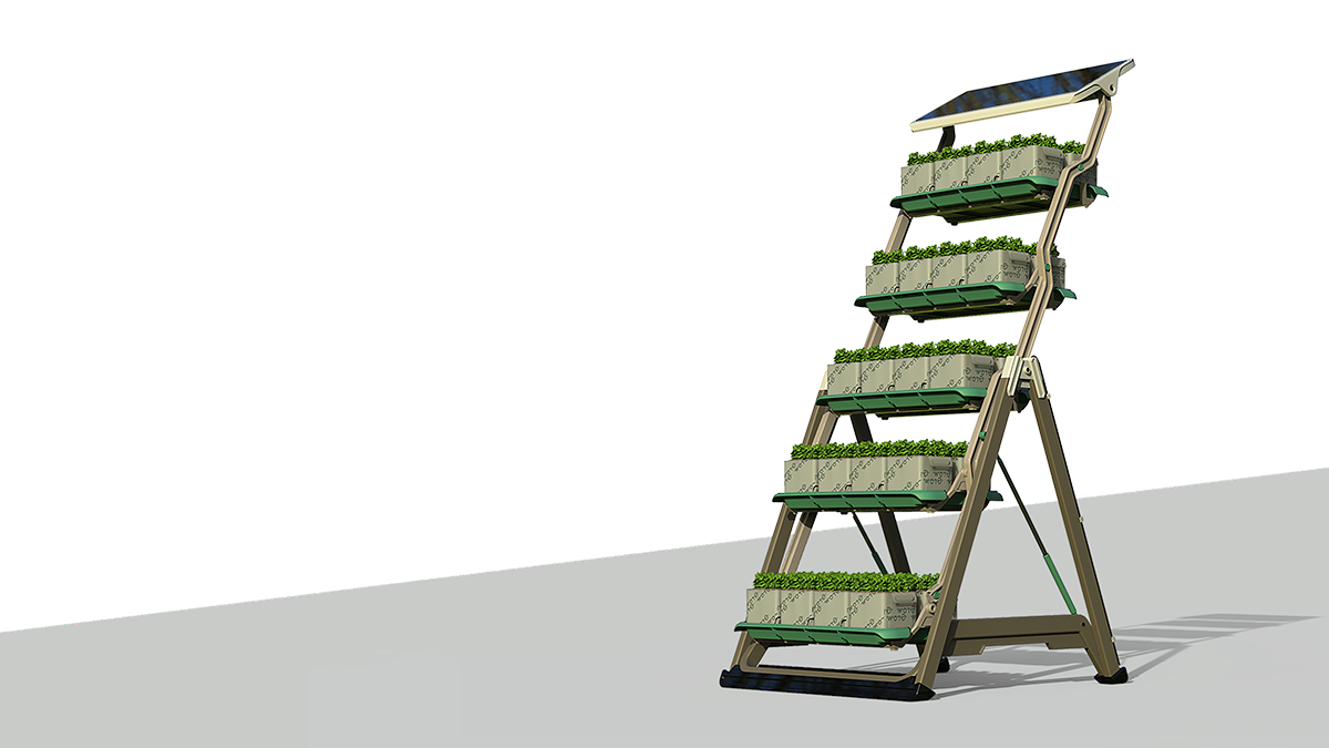 תום וירט_אפי זייצב_4 – Efi Zaitsev