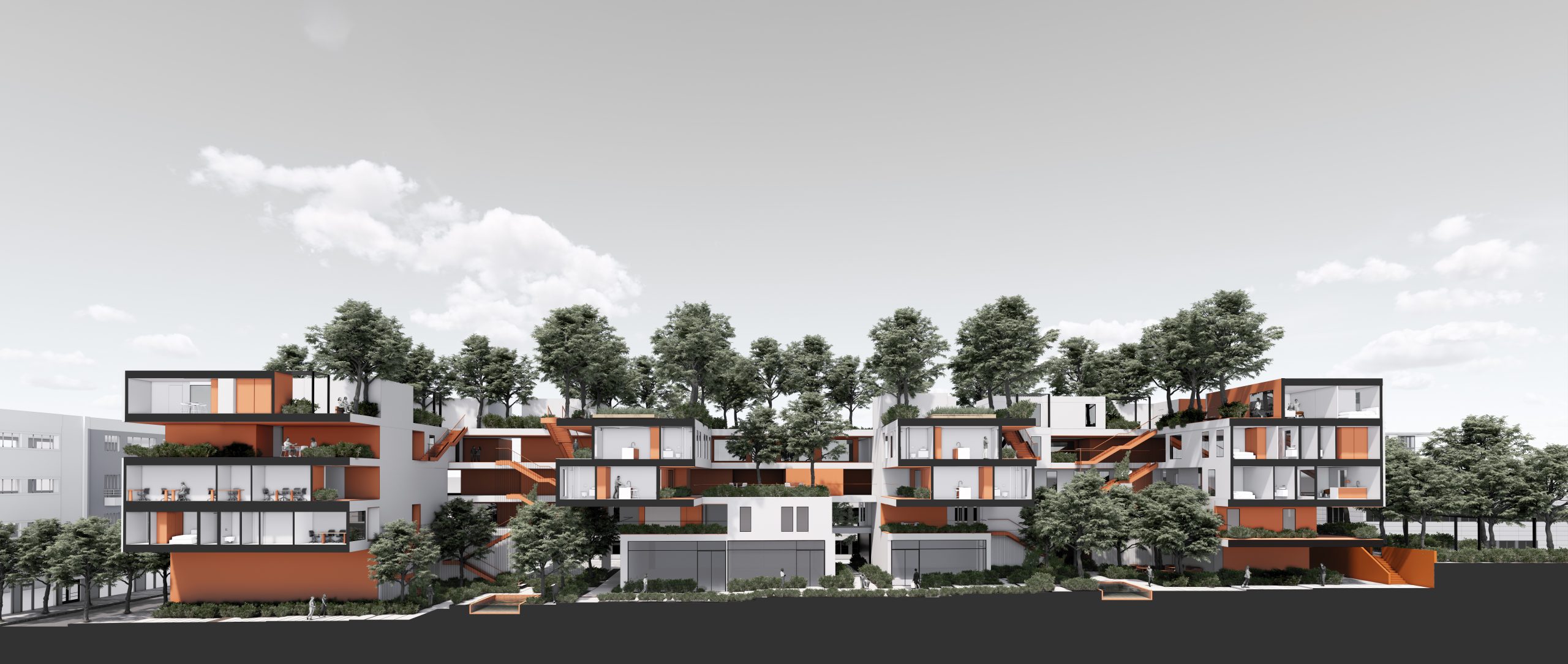 צפנת בן ציון