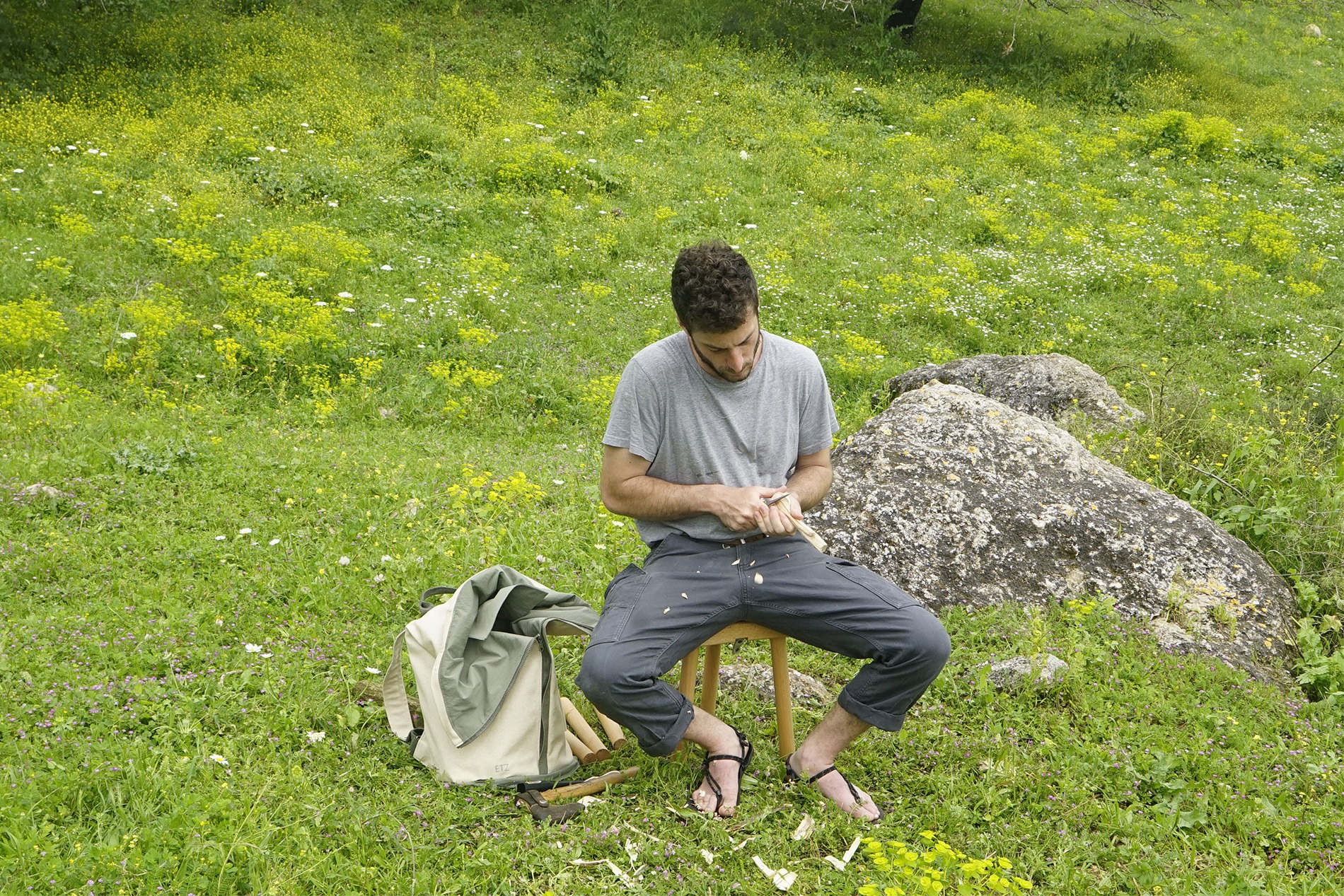 אביגיל דיקסטרו