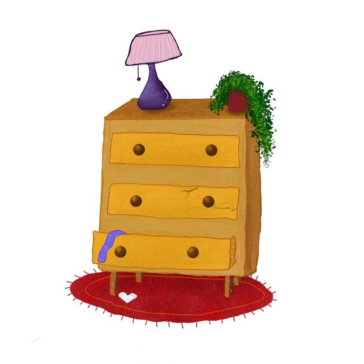 איור: שירז אמיר