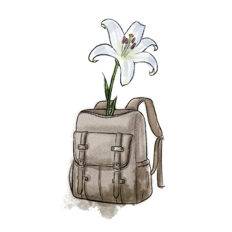 איור: אלינה יריומנקו